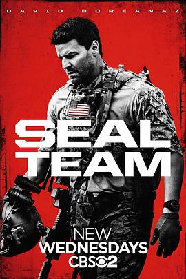 [动作/犯罪] 海豹突击队 第一季 SEAL Team Season 1  [大卫·伯伦纳兹/小尼尔·布朗][蓝光/高清1080p/4K下载]