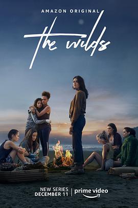 [剧情] 荒野 第一季 The Wilds Season 1  [瑞切尔·格里菲斯/大卫·苏利文][蓝光/高清1080p/4K下载]