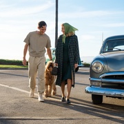 [剧情] 化学课 Lessons in Chemistry  [布丽·拉尔森/刘易斯·普尔曼][蓝光/高清1080p/4K下载]