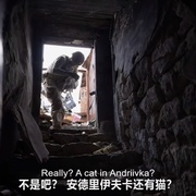 [纪录片] 距安德烈夫卡2000米 2000 Meters to Andriivka  [姆斯蒂斯拉夫·切尔诺夫][蓝光/高清1080p/4K下载]