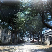 [爱情/动画] 橘色奇迹 orange  [花泽香菜/山下诚一郎][蓝光/高清1080p/4K下载]