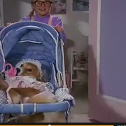 [冒险/家庭] 灵犬宾果 Bingo  [小罗伯特·J·斯坦米勒/大卫·拉斯彻][蓝光/高清1080p/4K下载]