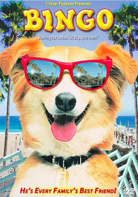 [冒险/家庭] 灵犬宾果 Bingo  [小罗伯特·J·斯坦米勒/大卫·拉斯彻][蓝光/高清1080p/4K下载]