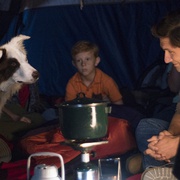 [冒险] 流浪狗 The Stray  [莎拉·兰卡斯特/迈克尔·卡西迪][蓝光/高清1080p/4K下载]