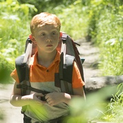 [冒险] 流浪狗 The Stray  [莎拉·兰卡斯特/迈克尔·卡西迪][蓝光/高清1080p/4K下载]