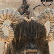 [动作/冒险] 曼达洛人 第二季 The Mandalorian Season 2  [佩德罗·帕斯卡/吉娜·卡拉诺][蓝光/高清1080p/4K下载]