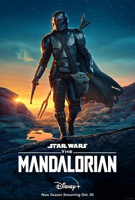 [动作/冒险] 曼达洛人 第二季 The Mandalorian Season 2  [佩德罗·帕斯卡/吉娜·卡拉诺][蓝光/高清1080p/4K下载]