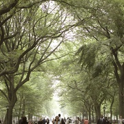 [灾难/科幻] 灭顶之灾 The Happening  [马克·沃尔伯格/佐伊·丹斯切尔][蓝光/高清1080p/4K下载]