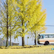 [爱情] 秘密 비밀  [池晟/黄正音][蓝光/高清1080p/4K下载]