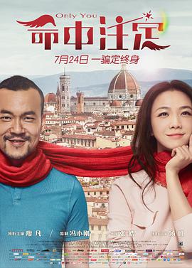 [喜剧/爱情] 命中注定  [汤唯/廖凡][蓝光/高清1080p/4K下载]