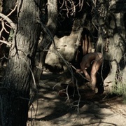 [恐怖] 木匠之子 The Carpenter’s Son  [尼古拉斯·凯奇/诺亚·尤佩][蓝光/高清1080p/4K下载]