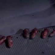 [动作/惊悚] 潜龙轰天2 Under Siege 2: Dark Territory  [史蒂文·席格/埃里克·博高森][蓝光/高清1080p/4K下载]