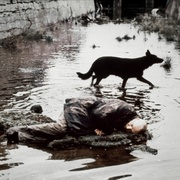 [悬疑/科幻] 潜行者 Сталкер  [亚历山大·凯伊达诺夫斯基/阿丽萨·弗雷因德利赫][蓝光/高清1080p/4K下载]