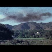 [恐怖/科幻] 杀人蜂 The Swarm  [迈克尔·凯恩/凯瑟琳·罗斯][蓝光/高清1080p/4K下载]