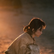 [剧情] 生命树  [杨紫/胡歌][蓝光/高清1080p/4K下载]