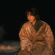 [剧情] 生命树  [杨紫/胡歌][蓝光/高清1080p/4K下载]