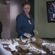 [爱情/犯罪] 识骨寻踪 第八季 Bones Season 8  [艾米丽·丹斯切尔/大卫·伯伦纳兹][蓝光/高清1080p/4K下载]