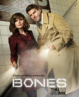 [爱情/犯罪] 识骨寻踪 第七季 Bones Season 7  [艾米丽·丹斯切尔/大卫·伯伦纳兹][蓝光/高清1080p/4K下载]