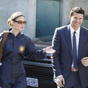 [爱情/犯罪] 识骨寻踪 第一季 Bones Season 1  [艾米丽·丹斯切尔/大卫·伯伦纳兹][蓝光/高清1080p/4K下载]