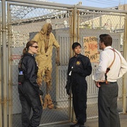 [爱情/犯罪] 识骨寻踪 第一季 Bones Season 1  [艾米丽·丹斯切尔/大卫·伯伦纳兹][蓝光/高清1080p/4K下载]