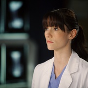 [爱情] 实习医生格蕾 第八季 Grey's Anatomy Season 8  [艾伦·旁派/吴珊卓][蓝光/高清1080p/4K下载]