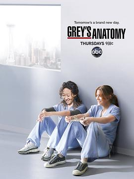 [爱情] 实习医生格蕾 第八季 Grey's Anatomy Season 8  [艾伦·旁派/吴珊卓][蓝光/高清1080p/4K下载]