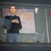 [爱情] 实习医生格蕾 第二十季 Grey’s Anatomy Season 20  [艾伦·旁派/钱德拉·威尔森][蓝光/高清1080p/4K下载]