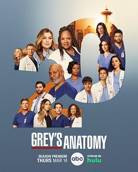 [爱情] 实习医生格蕾 第二十季 Grey’s Anatomy Season 20  [艾伦·旁派/钱德拉·威尔森][蓝光/高清1080p/4K下载]