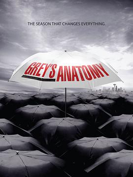 [爱情] 实习医生格蕾  第六季 Grey's Anatomy Season 6  [艾伦·旁派/吴珊卓][蓝光/高清1080p/4K下载]