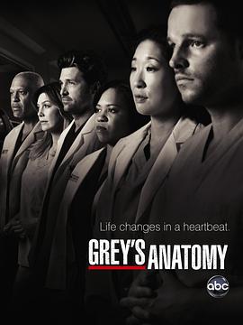 [爱情] 实习医生格蕾  第七季 Grey's Anatomy Season 7  [艾伦·旁派/吴珊卓][蓝光/高清1080p/4K下载]