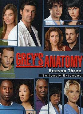 [爱情] 实习医生格蕾 第三季 Grey's Anatomy Season 3  [艾伦·旁派/帕特里克·德姆西][蓝光/高清1080p/4K下载]
