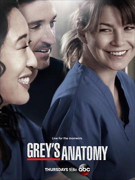 [爱情] 实习医生格蕾 第十季 Grey's Anatomy Season 10  [艾伦·旁派/帕特里克·德姆西][蓝光/高清1080p/4K下载]