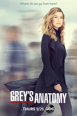 [爱情] 实习医生格蕾 第十六季 Grey's Anatomy Season 16  [艾伦·旁派/贾斯汀·钱伯斯][蓝光/高清1080p/4K下载]