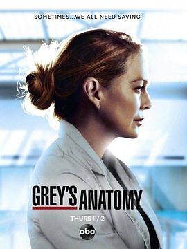 [爱情] 实习医生格蕾 第十七季 Grey's Anatomy Season 17  [艾伦·旁派/帕特里克·德姆西][蓝光/高清1080p/4K下载]