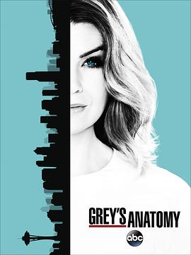 [剧情] 实习医生格蕾 第十三季 Grey's Anatomy Season 13  [艾伦·旁派/贾斯汀·钱伯斯][蓝光/高清1080p/4K下载]