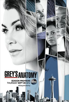[爱情] 实习医生格蕾 第十四季 Grey's Anatomy Season 14  [杰西卡·卡普肖/贾斯汀·钱伯斯][蓝光/高清1080p/4K下载]