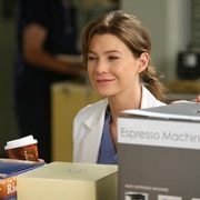 [爱情] 实习医生格蕾  第四季 Grey's Anatomy Season 4  [艾伦·旁派/吴珊卓][蓝光/高清1080p/4K下载]