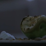 [悬疑/科幻] 水下之秘 Surface  [蕾克·贝尔/杰·R.弗格森][蓝光/高清1080p/4K下载]