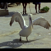 [犯罪/恐怖] 死岛 Τα παιδιά του διαβόλου  [Bob Behling/Jane Lyle][蓝光/高清1080p/4K下载]