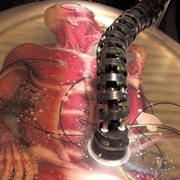 [动作/惊悚] 逃出克隆岛 The Island  [伊万·麦克格雷格/斯嘉丽·约翰逊][蓝光/高清1080p/4K下载]