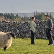 [喜剧] 万物生灵 第二季 All Creatures Great and Small Season 2  [尼古拉斯·瑞夫/蕾切尔·申顿][蓝光/高清1080p/4K下载]