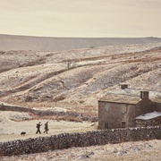 [喜剧] 万物生灵 第四季 All Creatures Great and Small Season 4  [尼古拉斯·瑞夫/萨缪尔·韦斯特][蓝光/高清1080p/4K下载]