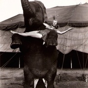 [家庭/爱情] 戏王之王 The Greatest Show on Earth  [詹姆斯·斯图尔特/查尔顿·赫斯顿][蓝光/高清1080p/4K下载]