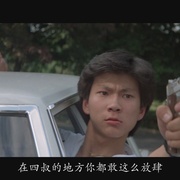 [动作] 血洗唐人街 New York Chinatown  [钟慧冰/邓光荣][蓝光/高清1080p/4K下载]