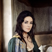 [喜剧] 驯悍记 The Taming of the Shrew  [伊丽莎白·泰勒/理查德·伯顿][蓝光/高清1080p/4K下载]