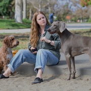 [恐怖/喜剧] 夜母 Nightbitch  [艾米·亚当斯/斯科特·麦克纳里][蓝光/高清1080p/4K下载]