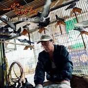 [剧情] 一家子儿咕咕叫 一家子兒咕咕叫  [游安顺/杨丽音][蓝光/高清1080p/4K下载]