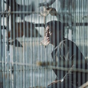 [剧情] 一家子儿咕咕叫 一家子兒咕咕叫  [游安顺/杨丽音][蓝光/高清1080p/4K下载]