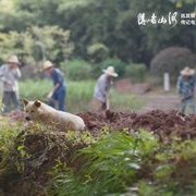 [音乐/纪录片] 隐者山河  [陈其钢/戈蒂埃·卡普松][蓝光/高清1080p/4K下载]
