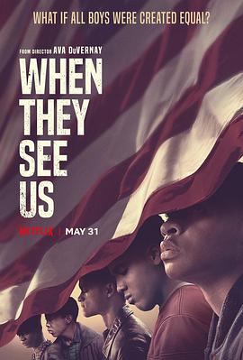 [犯罪] 有色眼镜 When They See Us  [安萨特·布莱克/卡里尔·哈里斯][蓝光/高清1080p/4K下载]